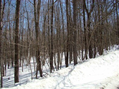 0 Shippee Rd, Readsboro, VT 05350 - photo 6