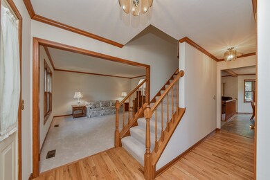 562 Bovidae Cir, Naperville, IL 60565 - photo 4
