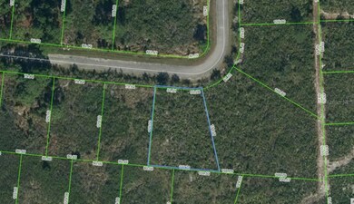 7801 Carillo Dr, Sebring, FL 33872 - photo 3