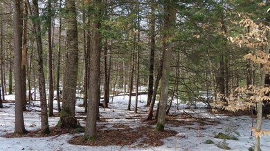 47 Juniper Ridge Rd, Gilford, NH 03249 - photo 5
