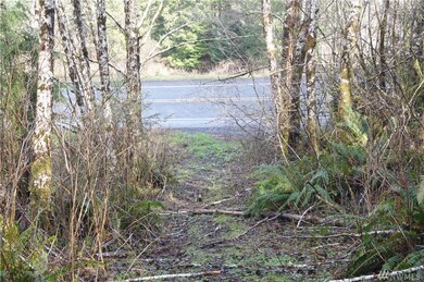 0 U S 101, Raymond, WA 98577 - photo 4