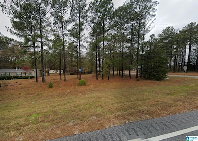 12755 Highway 169, Salem, AL 36874 - photo 3