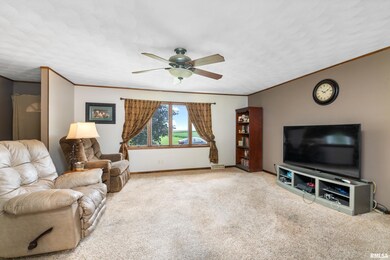 4202 Orchard Dr, Galesburg, IL 61401 - photo 5