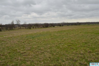 0 Willow Grove unit 9112508, Moody, TX 76557 - photo 5