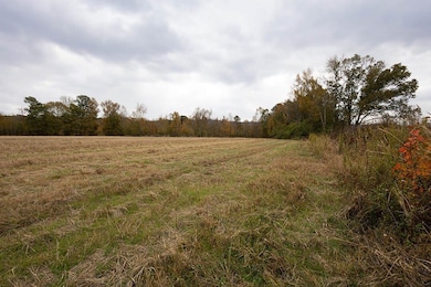 11625 Highway 68 E, Gaylesville, AL 35973 - photo 6