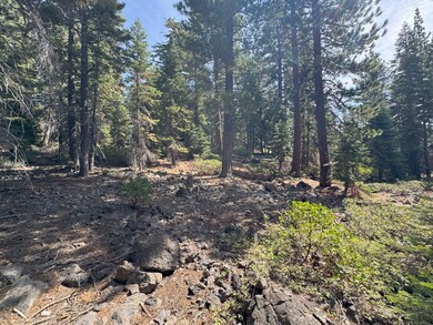 5255 N Lake Blvd, Carnelian Bay, CA 96140 - photo 4