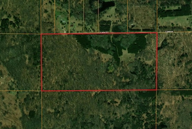 80 E 24th St, Pinora Township, MI 49677 - photo 2