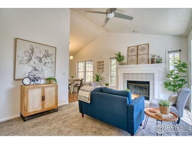 Wood-burning fireplace