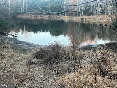 0 Mitchell Ford Rd, Lignum, VA 22726 - photo 2