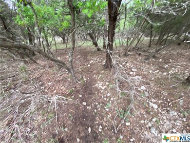 15945 Crockett Dr, Temple, TX 76502 - photo 5