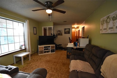 Carpeted living area with a textured ceiling and a ceiling fan