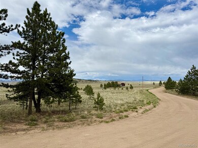 311 Harness Way, Hartsel, CO 80449 - photo 6