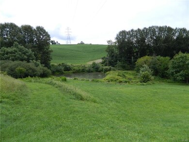 Springfed Pond