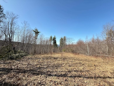 Map 3 Lot 18-2b and 18-2c Water St, Strafford, NH 03884 - photo 5