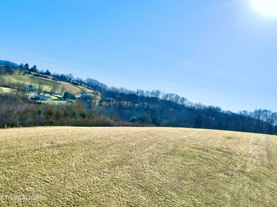 dji_fly_20250203_151534_241_173861374247