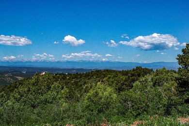 4207 Cedar Ridge Ln, Trinidad, CO 81082 - photo 7