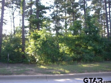 4032 Hanover Place, Tyler, TX 75701 - photo 4