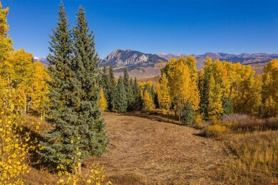 794 Red Mountain Ranch Lower Loop, Crested Butte, CO 81224 - photo 7
