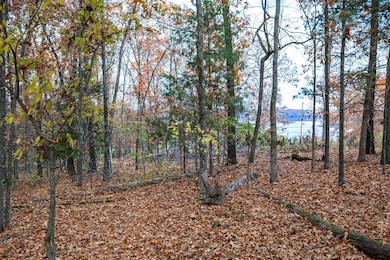 Tbd Whispering Hill Dr, Pine A Township, MO 65611 - photo 3