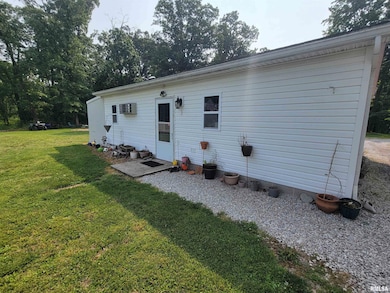 7324 State Route 161 Extension, Iuka, IL 62849 - photo 2