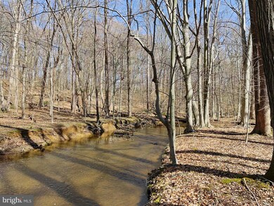 13230 Compton Rd, Clifton, VA 20124 - photo 6