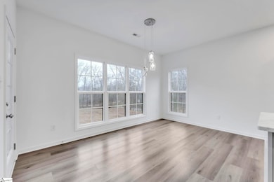 100 Indian Ridge Dr, Laurens, SC 29360 - photo 6