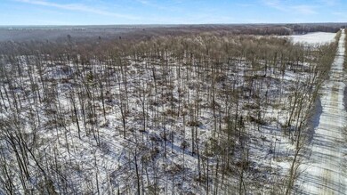 0 Pondell Rd unit 1564447, Weyerhaeuser, WI 54895 - photo 7