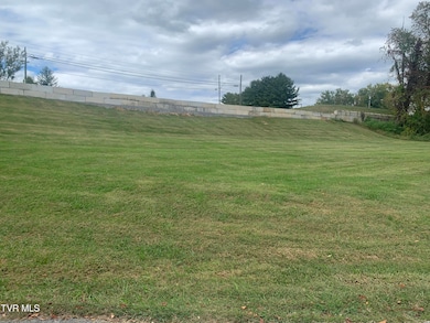 4987 Bluff City Hwy, Bluff City, TN 37618 - photo 5