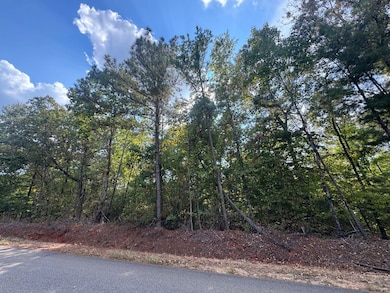 Tract D Lee Road 345, Salem, AL 36874 - photo 7