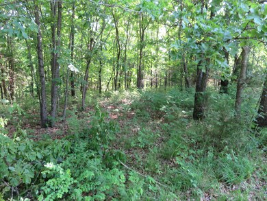 0 L 11 Spice Rd, North Galloway Township, MO 65721 - photo 6