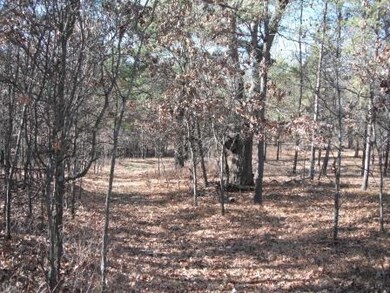 N8755 County Road H, Camp Douglas, WI 54618 - photo 5