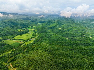 02-4443-Jones-Cove-Rd-Cosby-TN-2