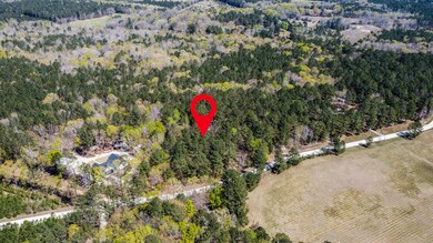 0 Piney Woods Rd unit 513538, Lincolnton, GA 30817 - photo 2