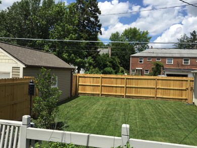 Another View of Back Yard