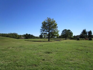 22070 Shady Grove Ct, Whitney, TX 76692 - photo 4