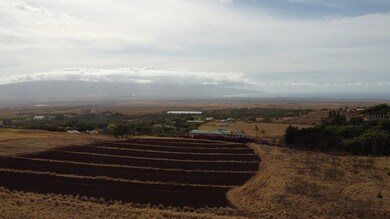 0 Omaopio Rd unit 402559, Kula, HI 96790 - photo 2