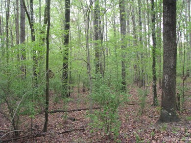 558 Akinbac Rd, Clover, SC 29710 - photo 7