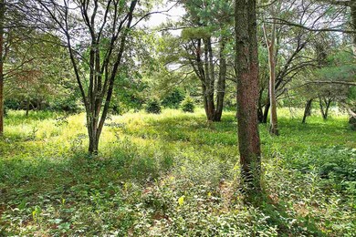 Lot #2 Hemlock Ln, Shelburne, VT 05482 - photo 6