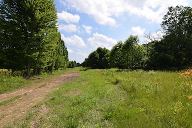 View - facing South