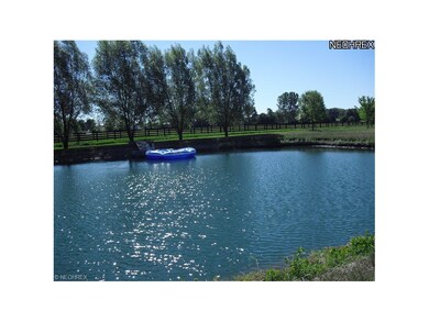 Another view of the pond.  Look what you would vie
