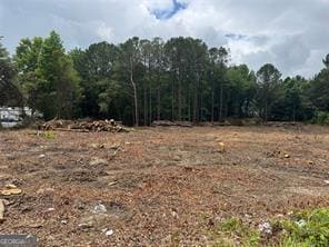 2949 Rosebud Rd, Snellville, GA 30078 - photo 4