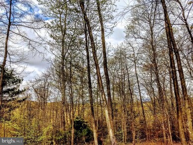 0 Bison Ridge Ln unit PAPY2002416, Newport, PA 17074 - photo 6