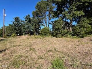 1801 NW Cedar St, Waldport, OR 97394 - photo 5