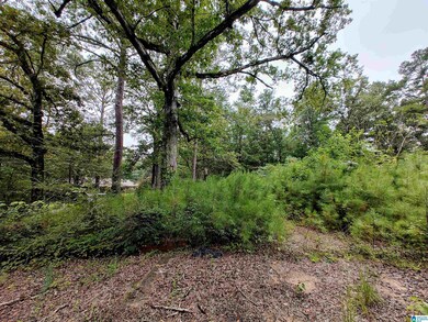 160 Circle Dr NE unit 18 & 19, Pell City, AL 35128 - photo 6