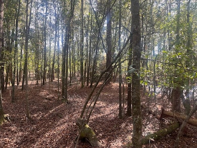 TBD Pulaski Dr E, Hampton, SC 29924 - photo 4