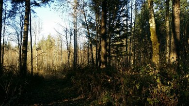 104 SE 288th St, Graham, WA 98338 - photo 3