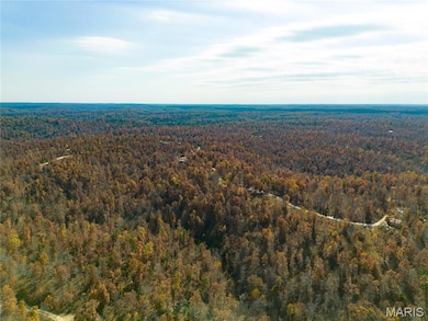 15682 Winding Trail, Birch Tree, MO 65438 - photo 5