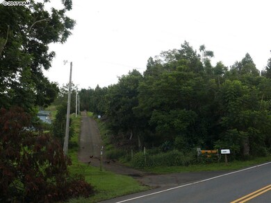 0 Haleakala Hwy, Kula, HI 96790 - photo 4