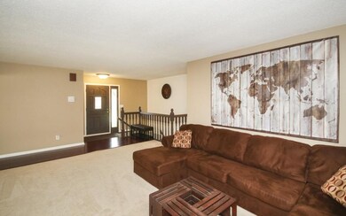 Living Room with New Carpet, Trim and Window Cover