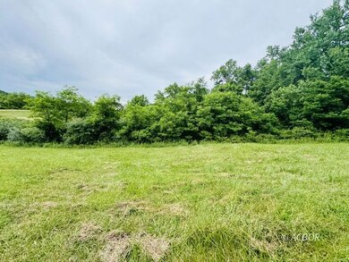 Trees and brush near pond